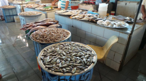 fish_market